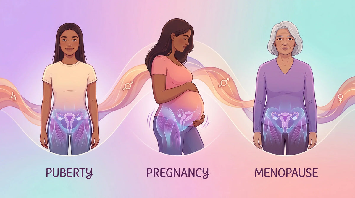 How Hormonal Changes Affect Pelvic Floor Strength Throughout Life
